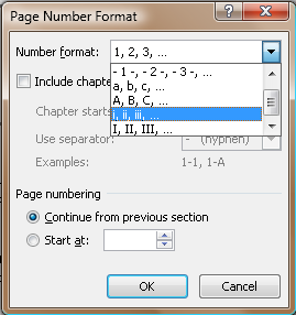 Figure 2. Page Numbering Format dialog box, Word 2007 version (though they all look alike).