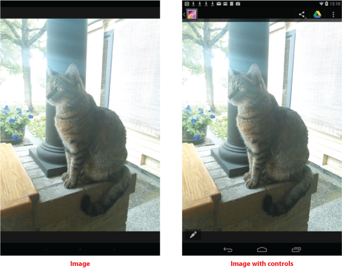 Figure 1. Tap the screen to view the onscreen controls for an image in the Gallery.