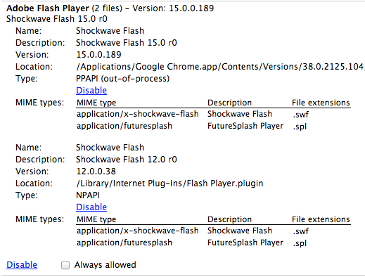 Figure 1. Two versions of the Adobe Flash player are installed on this computer.