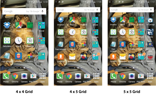 Figure 3. Different icon density arrangements on the Home screen.