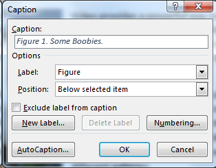 Figure 2. Filling-in the Caption dialog box.