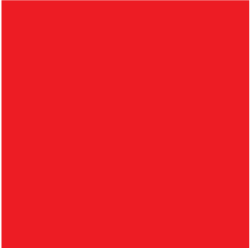 Figure 1. A red square set to 250 pixels on each side.
